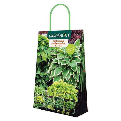 Gardenline Sun or Shade Lovers Bulbs - Assorted Varieties